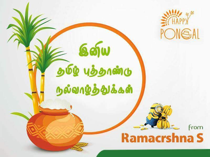 Pongal