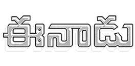 ee1
